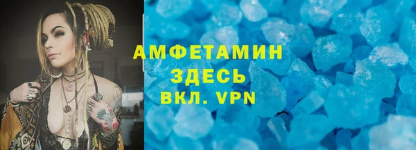 сатива Аркадак