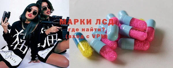 сатива Аркадак