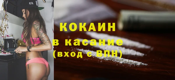 сатива Аркадак