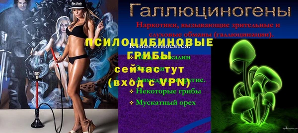 бошки Арсеньев