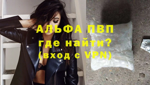 сатива Аркадак