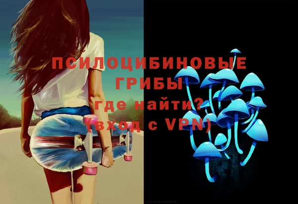 бошки Арсеньев