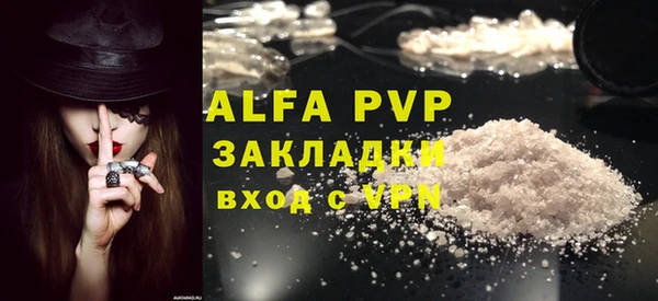 сатива Аркадак