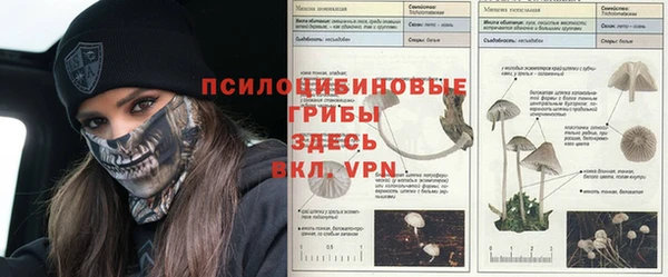 бошки Армянск