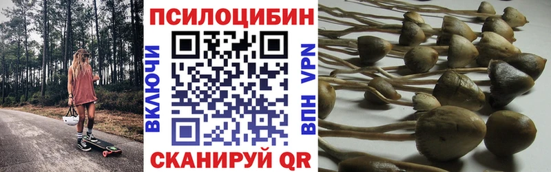 Псилоцибиновые грибы Magic Shrooms  Малоярославец 